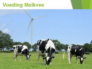 Voeding Melkvee Water en droge stof Water en