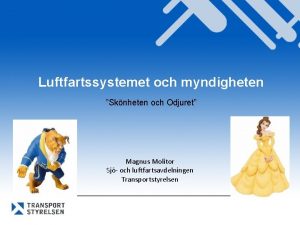 Luftfartssystemet och myndigheten Sknheten och Odjuret Magnus Molitor