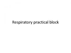 Respiratory practical block Lung Type I pneumocyte Alveolar