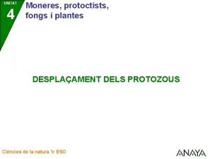 UNITAT 4 Moneres protoctists fongs i plantes DESPLAAMENT