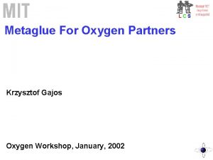 LCS Metaglue For Oxygen Partners Krzysztof Gajos Oxygen