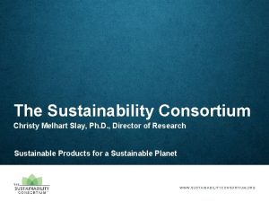 The Sustainability Consortium Christy Melhart Slay Ph D