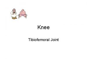 Knee Tibiofemoral Joint Largest and most complex Actually