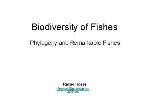 Biodiversity of Fishes Phylogeny and Remarkable Fishes Rainer