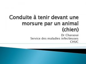 Conduite tenir devant une morsure par un animal