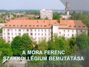 A MRA FERENC SZAKKOLLGIUM BEMUTATSA ltalnos adatok a