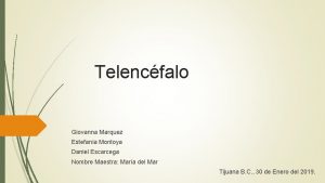 Telencfalo Giovanna Marquez Estefana Montoya Daniel Escarcega Nombre