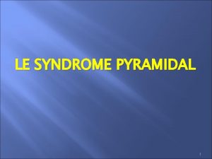 LE SYNDROME PYRAMIDAL 1 Les voies pyramidales sont