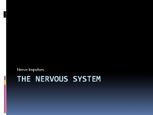 Nerve Impulses THE NERVOUS SYSTEM Nerve Impulses The