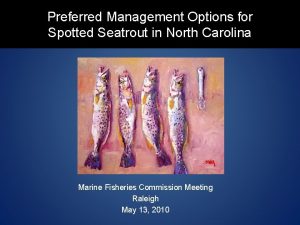 Preferred Management Options for Spotted Seatrout in North