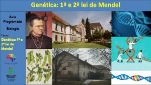 Gentica 1 e 2 lei de Mendel Aula