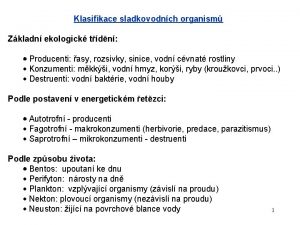 Klasifikace sladkovodnch organism Zkladn ekologick tdn Producenti asy