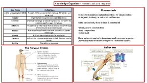 Knowledge Organiser Homeostasis and response Key Terms Definitions