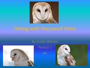 Dining with Deceased Voles By Justin Bildner Period