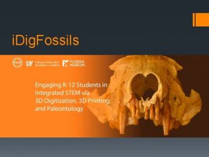 i Dig Fossils A Comparison of Hominins Using