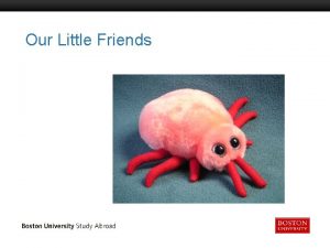 Our Little Friends Boston University Slideshow Title Goes