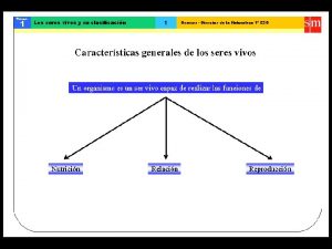 LA DIVERSIDAD DE LOS SERES VIVOS MAMFEROS ANFIBIOS