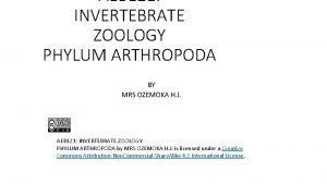 AEB 121 INVERTEBRATE ZOOLOGY PHYLUM ARTHROPODA BY MRS