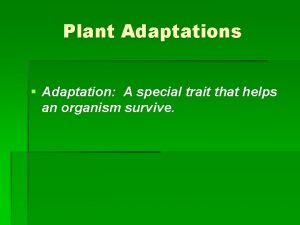 Plant Adaptations Adaptation A special trait that helps