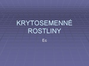 KRYTOSEMENN ROSTLINY Ec AVEL KYSEL PEKV ZIMU POMOC