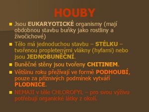 HOUBY n n n Jsou EUKARYOTICK organismy maj