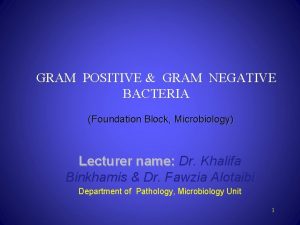 GRAM POSITIVE GRAM NEGATIVE BACTERIA Foundation Block Microbiology