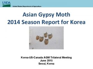 Asian Gypsy Moth 2014 Season Report for KoreaUSCanada