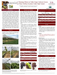 Cluster Thinning Effects on Table Grape Cultivars Grown