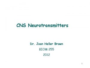 CNS Neurotransmitters Dr Joan Heller Brown BIOM 255