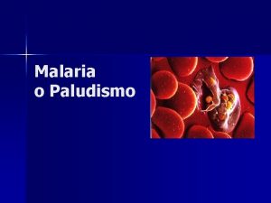 Malaria o Paludismo Introduccin Enfermedad parasitaria de manifestacin