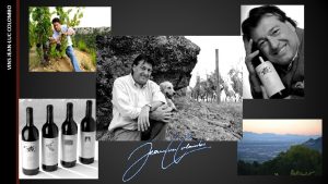VINS JEANLUCCOLOMBO VINS JEANLUC COLOMBO JeanLuc ColomboBrand Concept