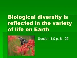 Biological diversity is reflected in the variety of
