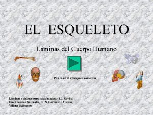 EL ESQUELETO Lminas del Cuerpo Humano Pincha en