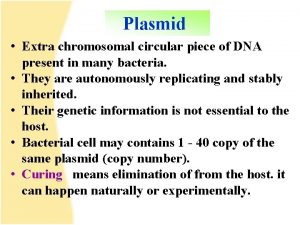 Plasmid Extra chromosomal circular piece of DNA present