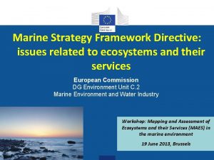 Marine Strategy Framework Directive issues related to ecosystems