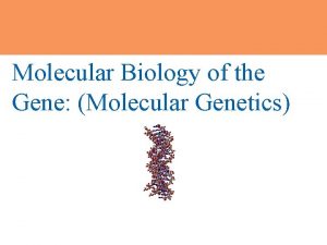 Chapter 10 Molecular Biology of the Gene Molecular