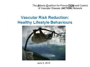 Vascular Risk Reduction Healthy Lifestyle Behaviours Vascular Risk