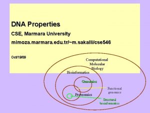 DNA Properties CSE Marmara University mimoza marmara edu