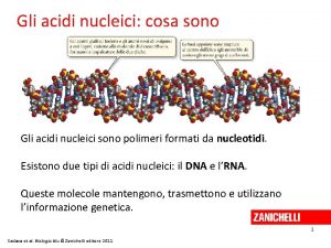 Gli acidi nucleici cosa sono Gli acidi nucleici