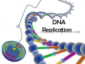 DNA Replication Copying the genetic code DNA Replication