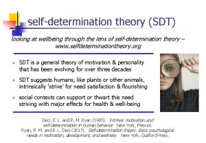 selfdetermination theory SDT looking at wellbeing through the