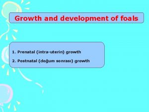 Growth and development of foals 1 Prenatal intrauterin