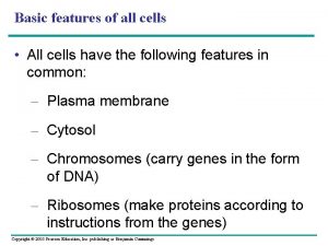 Basic features of all cells All cells have