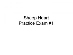 Sheep Heart Practice Exam 1 Name the following