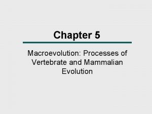 Chapter 5 Macroevolution Processes of Vertebrate and Mammalian
