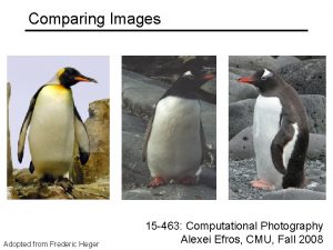 Comparing Images Adopted from Frederic Heger 15 463