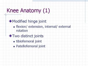 Knee Anatomy 1 Modified hinge joint n flexion