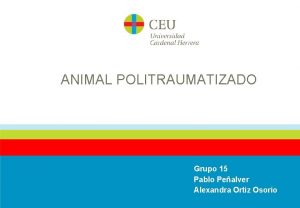 ANIMAL POLITRAUMATIZADO Grupo 15 Pablo Pealver Alexandra Ortiz