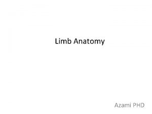 Limb Anatomy Azami PHD Definitions Anatomy From Greek