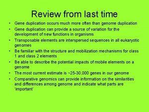 Review from last time Gene duplication occurs much
